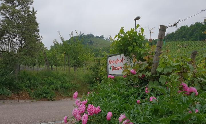 Weinhof Wurttemberg