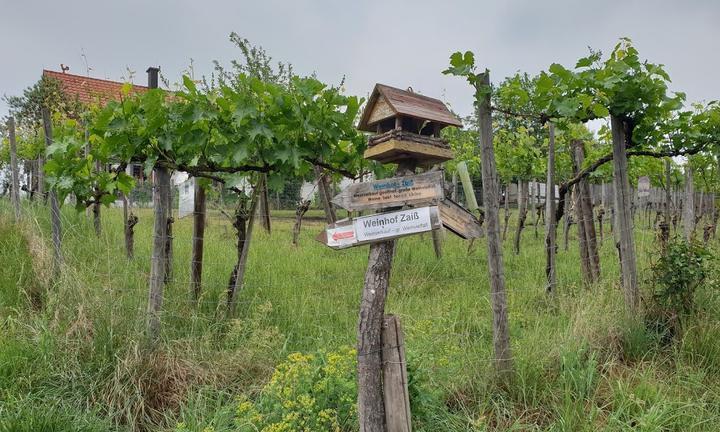 Weinhof Wurttemberg