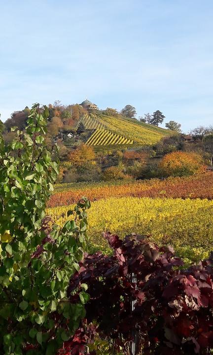 Weinhof Wurttemberg