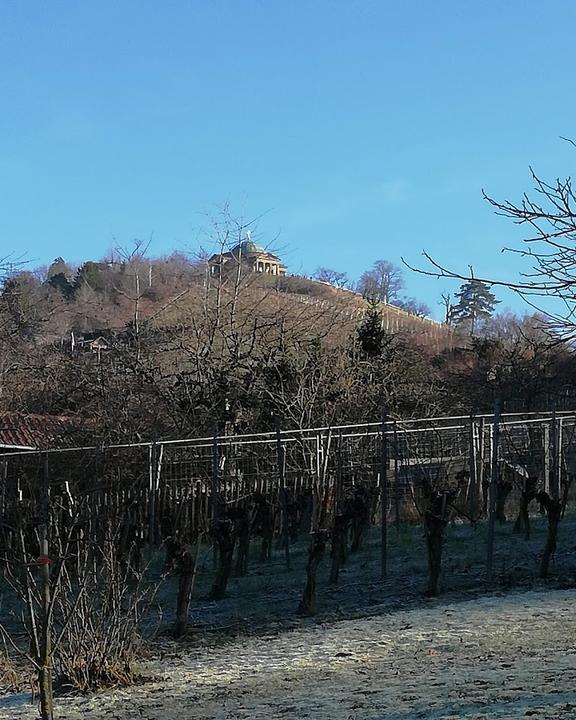 Weinhof Wurttemberg